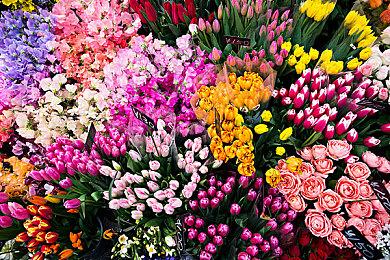 《阿凡达：潘多拉边境》支持DLSS和FSR 2.0