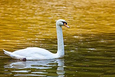 PC平台《索尼克 缤纷色彩 究极版》9分钟试玩视频